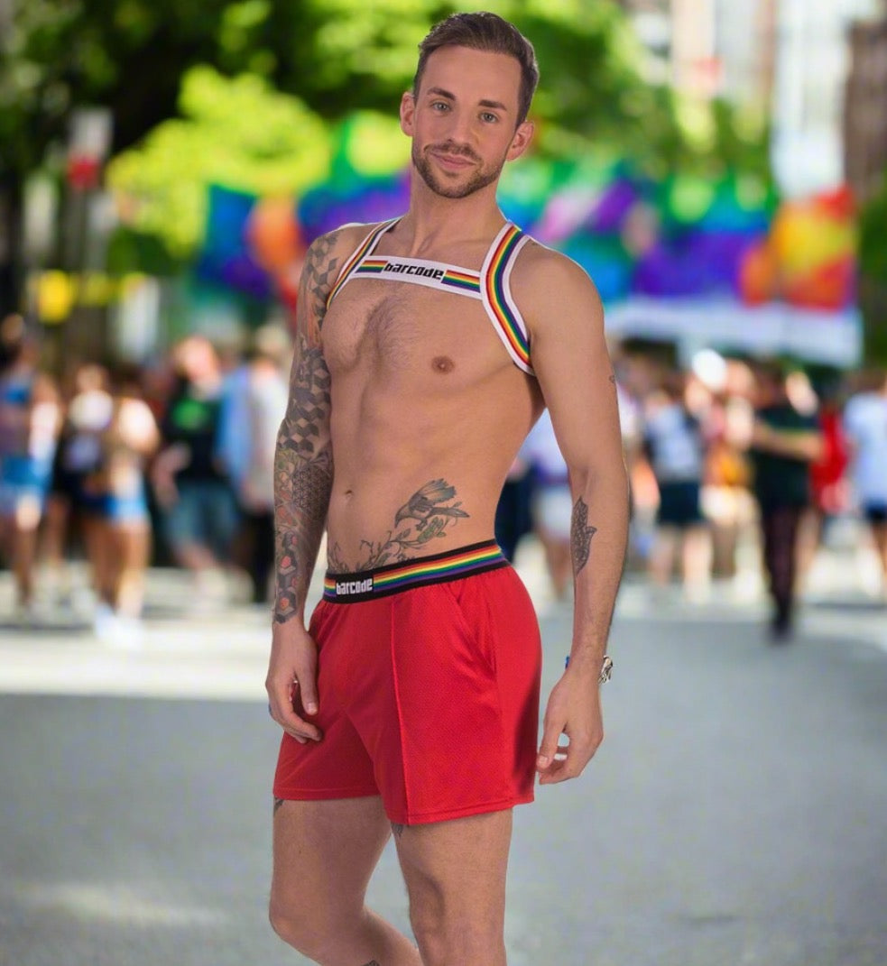 Barcode Harness - Pride